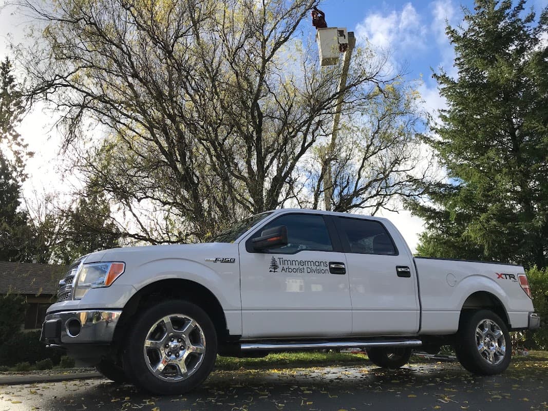 Timmermans Tree Service photo 3