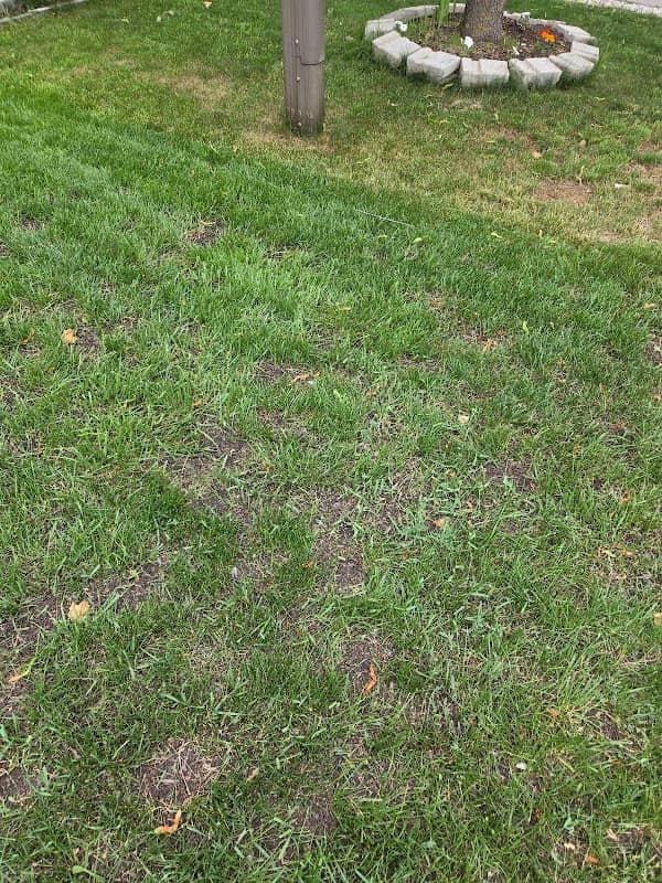 Toemar Landscape & Garden Supplies photo 2