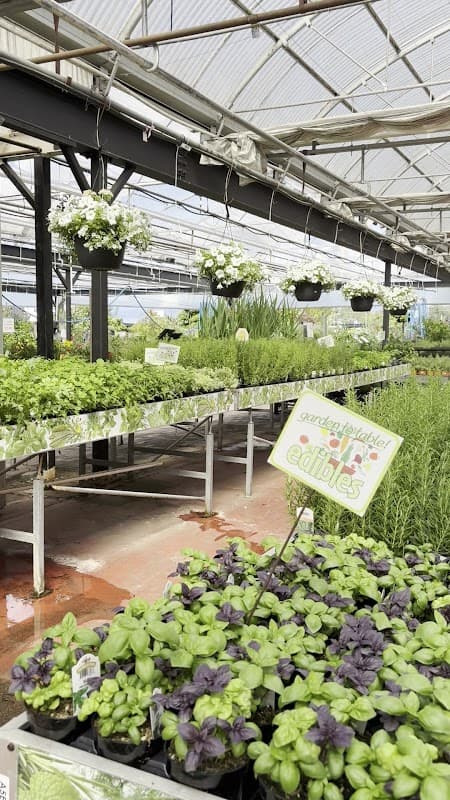 Triple Tree Nurseryland photo 3