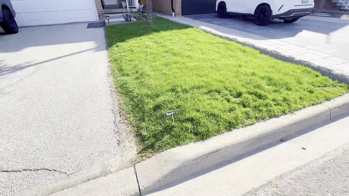 Turf FX Lawn Care photo 3