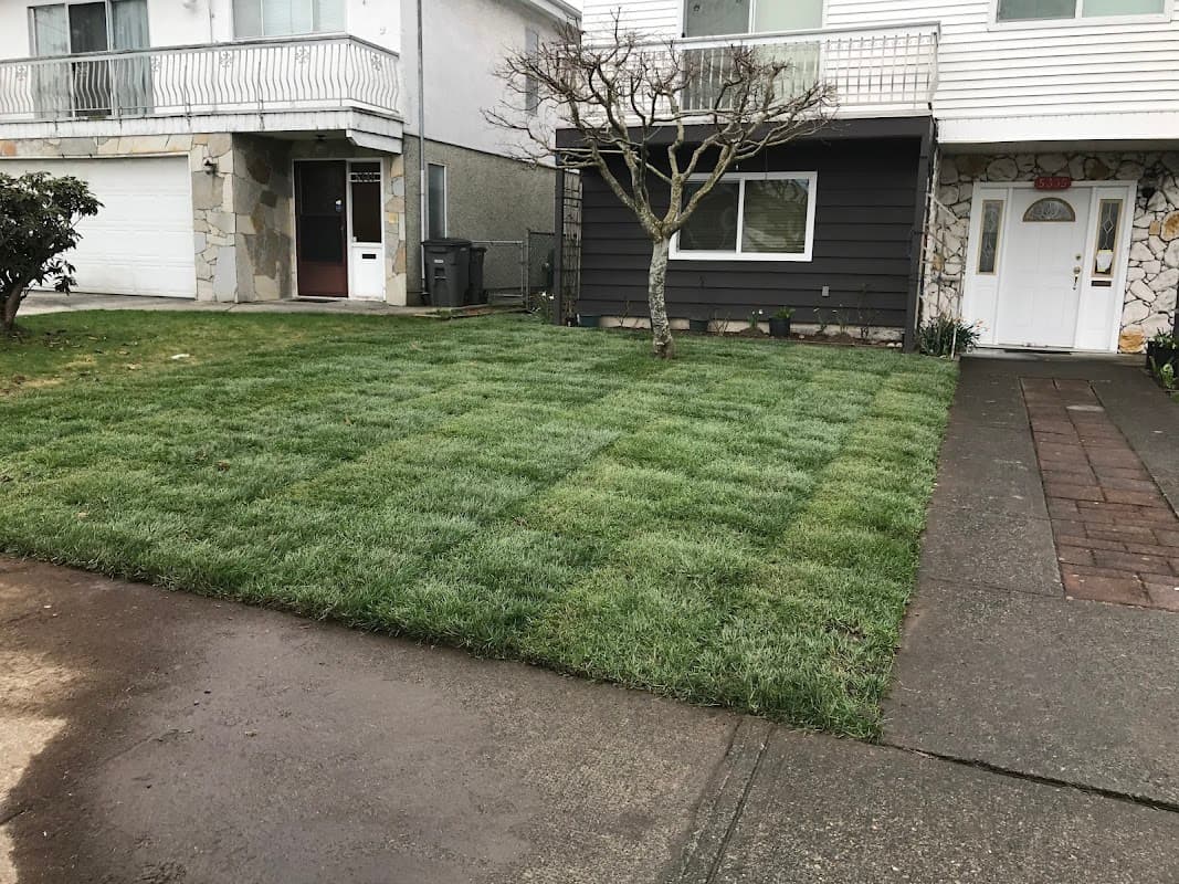 Turf Guys Landscaping Limited