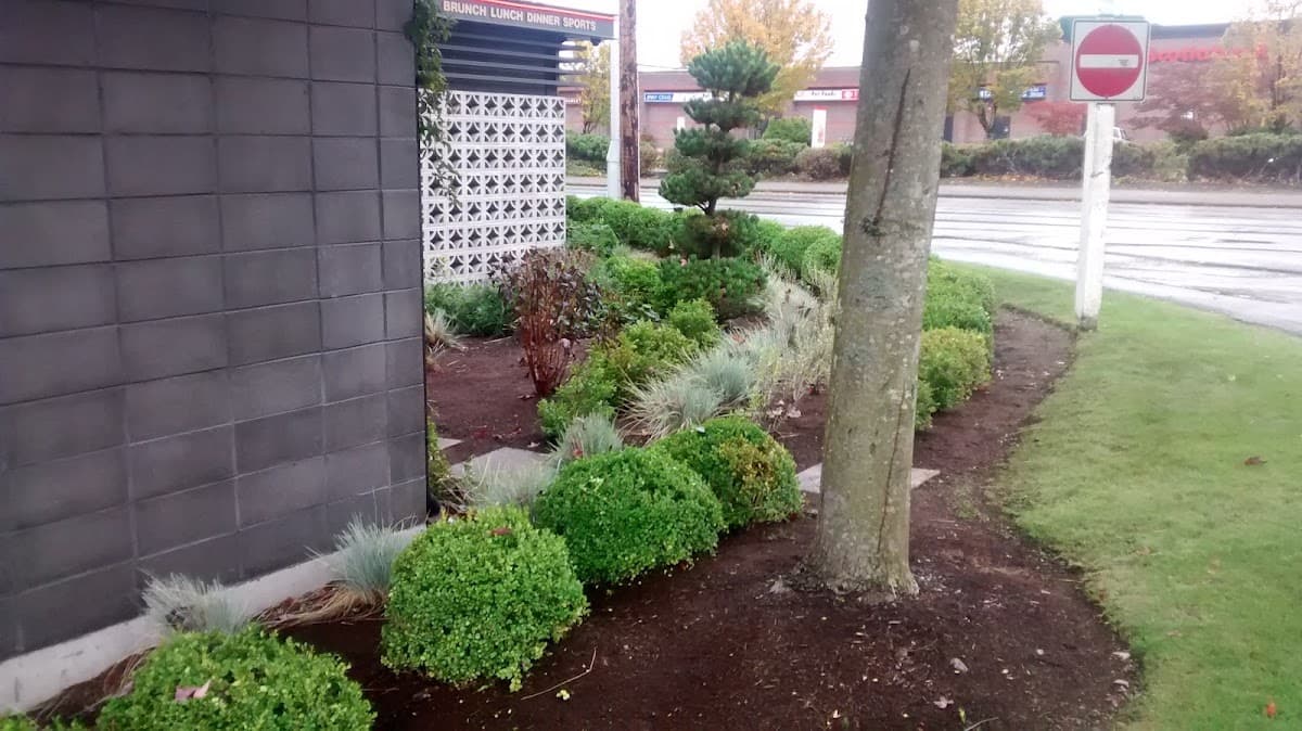 TurfBoys Lawn & Landscape , Spring Clean Ups ,Lawn Repairs , New Lawns Installed , Aeration . Fertilizer and More . photo 3