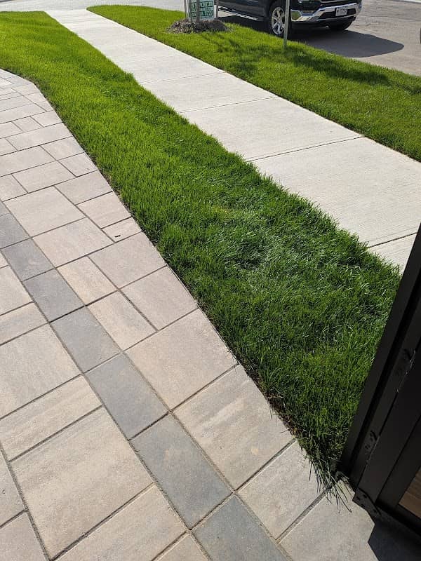 TVN Property Maintenance INC. photo 2