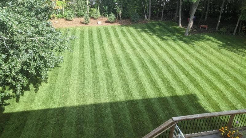 Ultimate Lawn Care