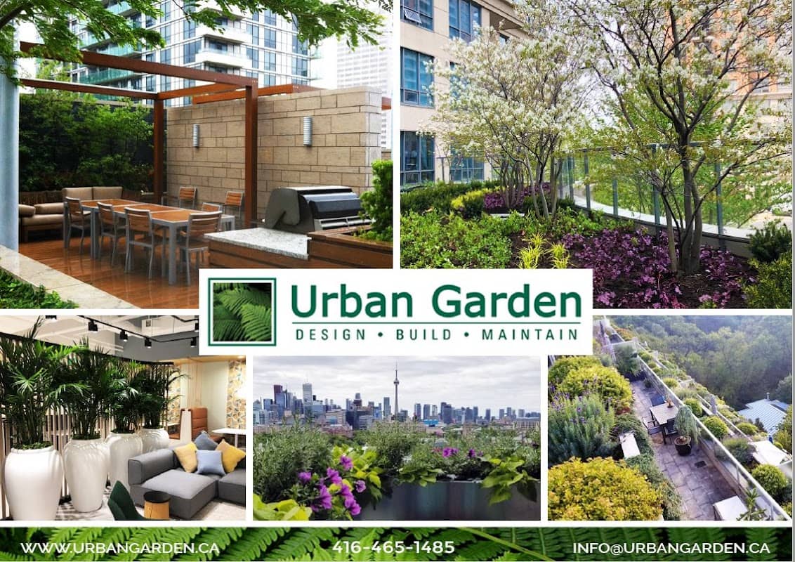 Urban Garden project photo