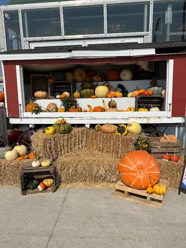 Vandermeer Nursery & Garden Centre photo 4