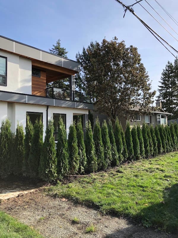 Vanstarr Landscaping photo 2