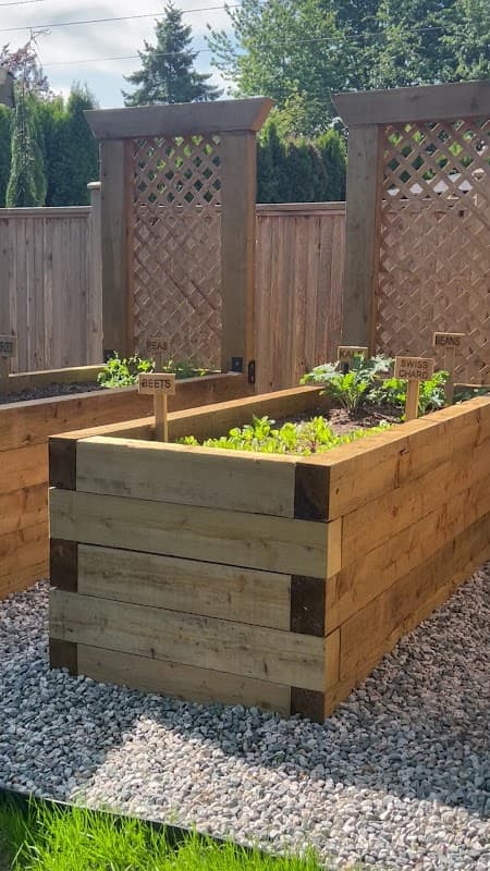 VIP Landscaping photo 3