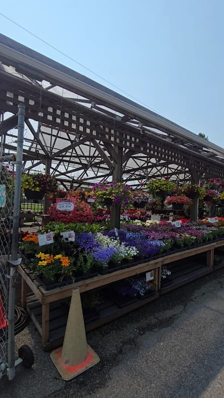 W.I.G. Garden Centre and Nursery (Western Independent Greenhouses) photo 2