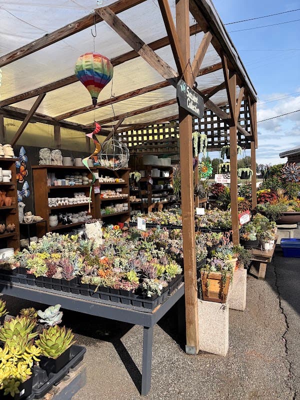 W.I.G. Garden Centre and Nursery (Western Independent Greenhouses) photo 4