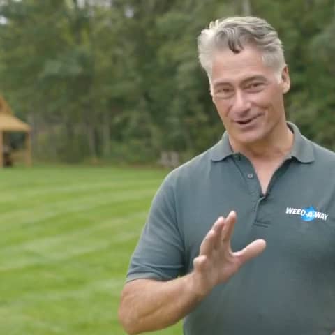 Weed Away Lawn Care photo 2