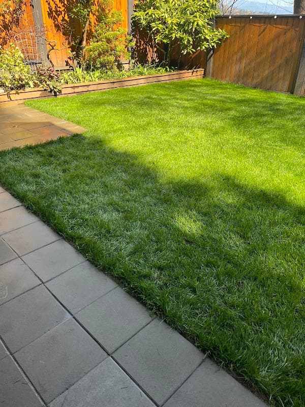 Western Turf Farms Ltd
