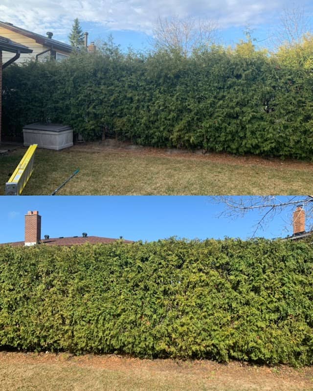 Wideman Property Maintenance Inc photo 2