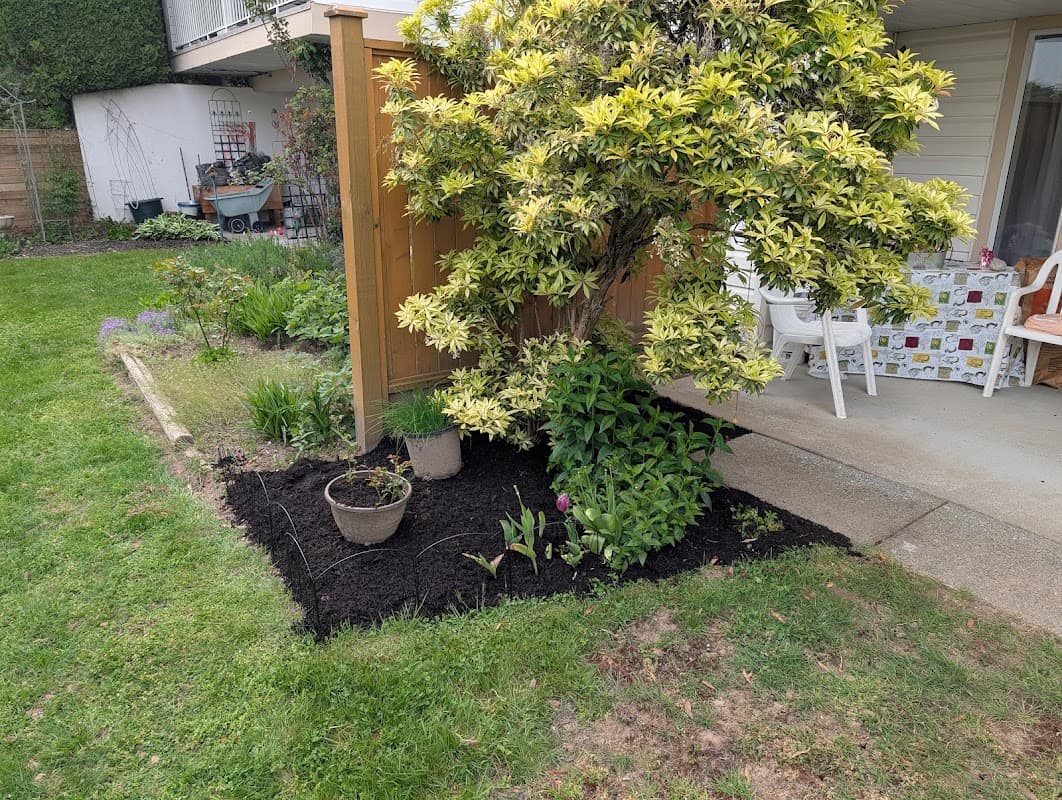 Willy's Landscaping Services photo 2
