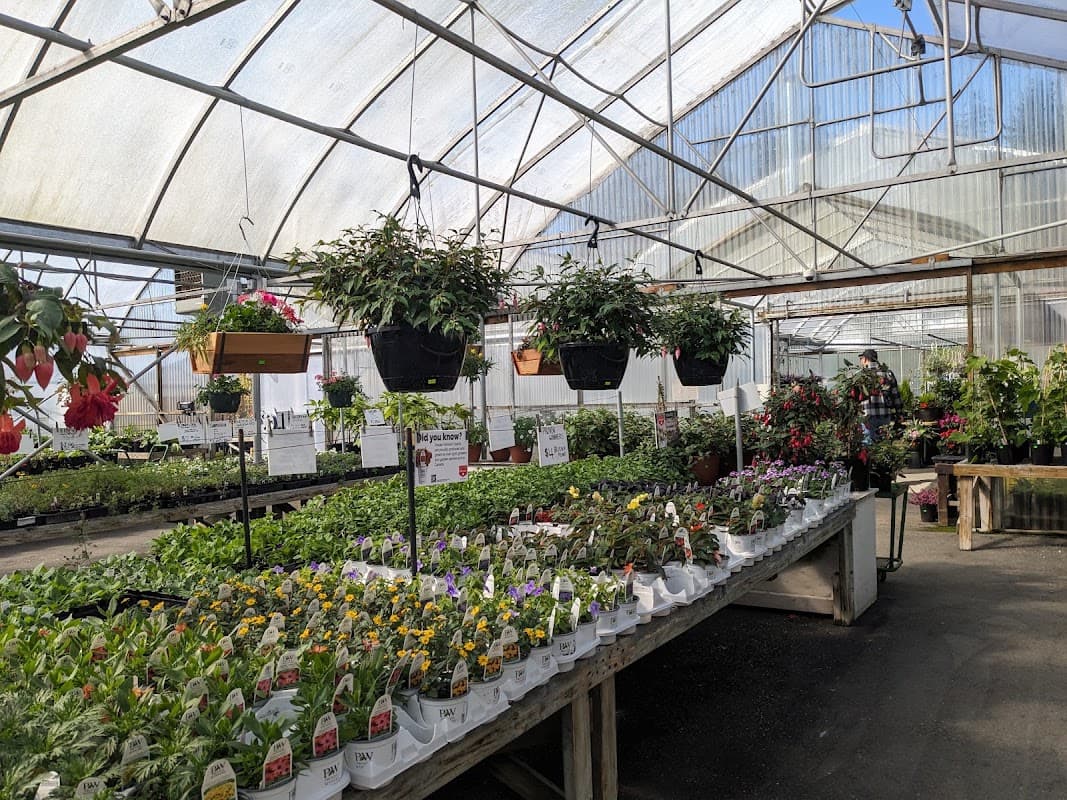 Wing Wong's Nursery photo 4