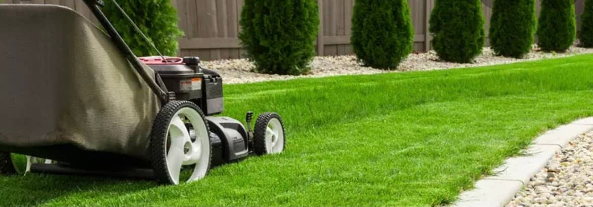 Xtreme Landscaping Inc - Lawn care / Window Cleaning / Snow Plowing photo 2