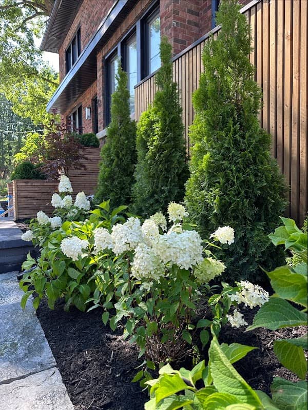 Zing Landscaping & Design project photo