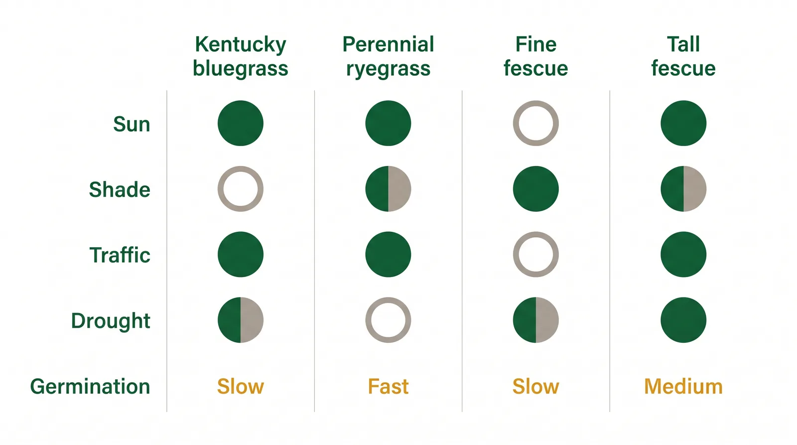 Comparison chart of four cool-season grasses for Ontario rating Kentucky bluegrass, perennial ryegrass, fine fescue and tall fescue on sun, shade, traffic, drought, and germination speed