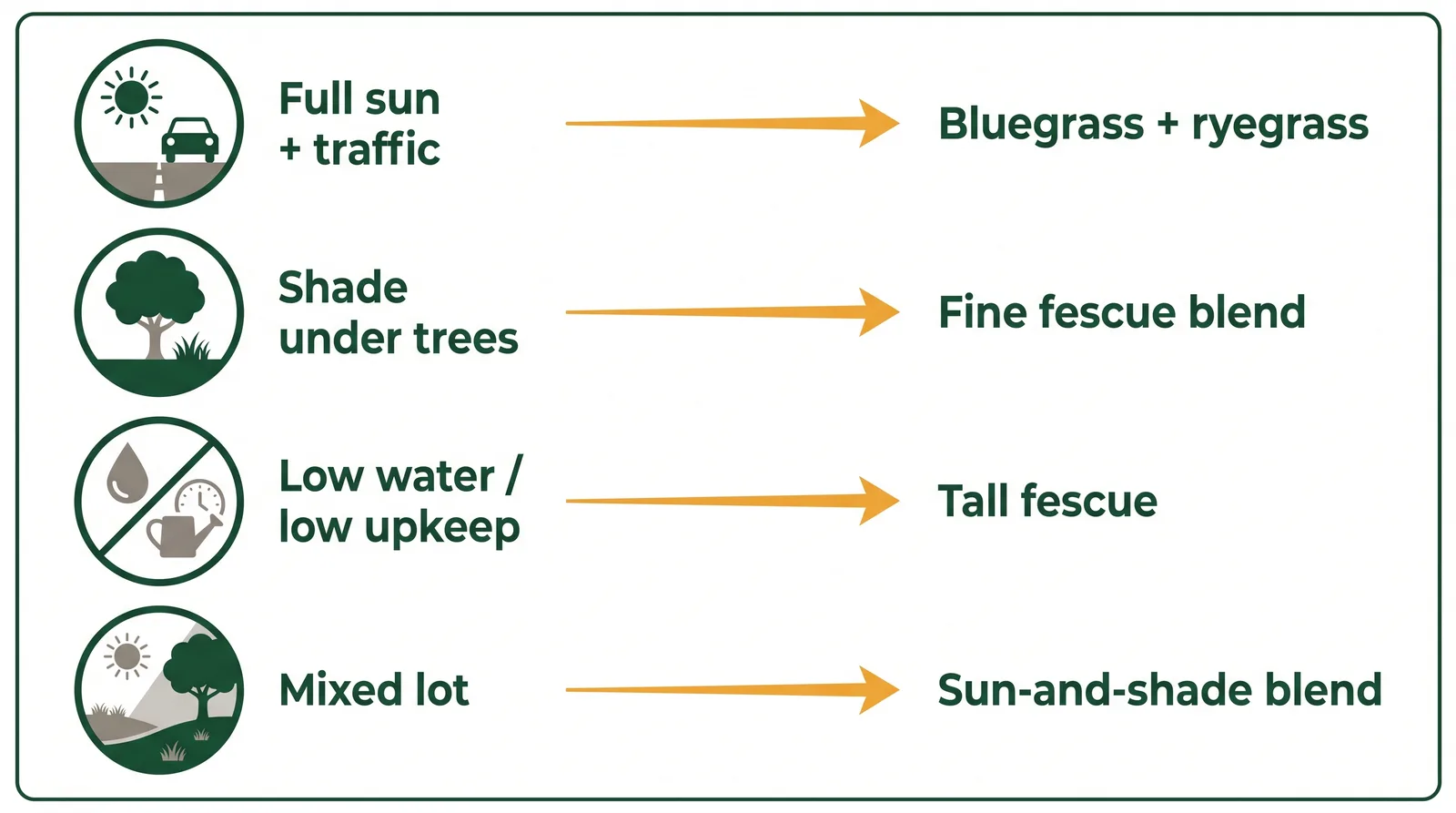 Diagram matching Toronto yard conditions to a recommended grass seed blend: full sun to bluegrass and ryegrass, shade to fine fescue, low maintenance to tall fescue, mixed to sun-and-shade blend