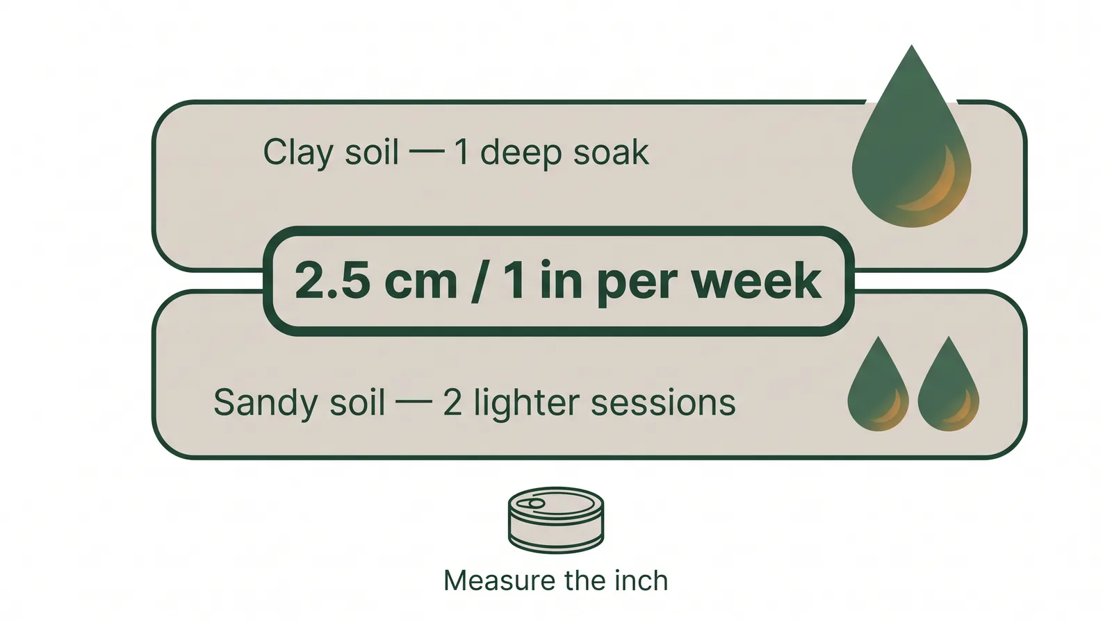 Diagram showing a Toronto lawn needs about 2.5 cm of water a week, watered deeply once a week on clay soil or twice a week on sandy soil
