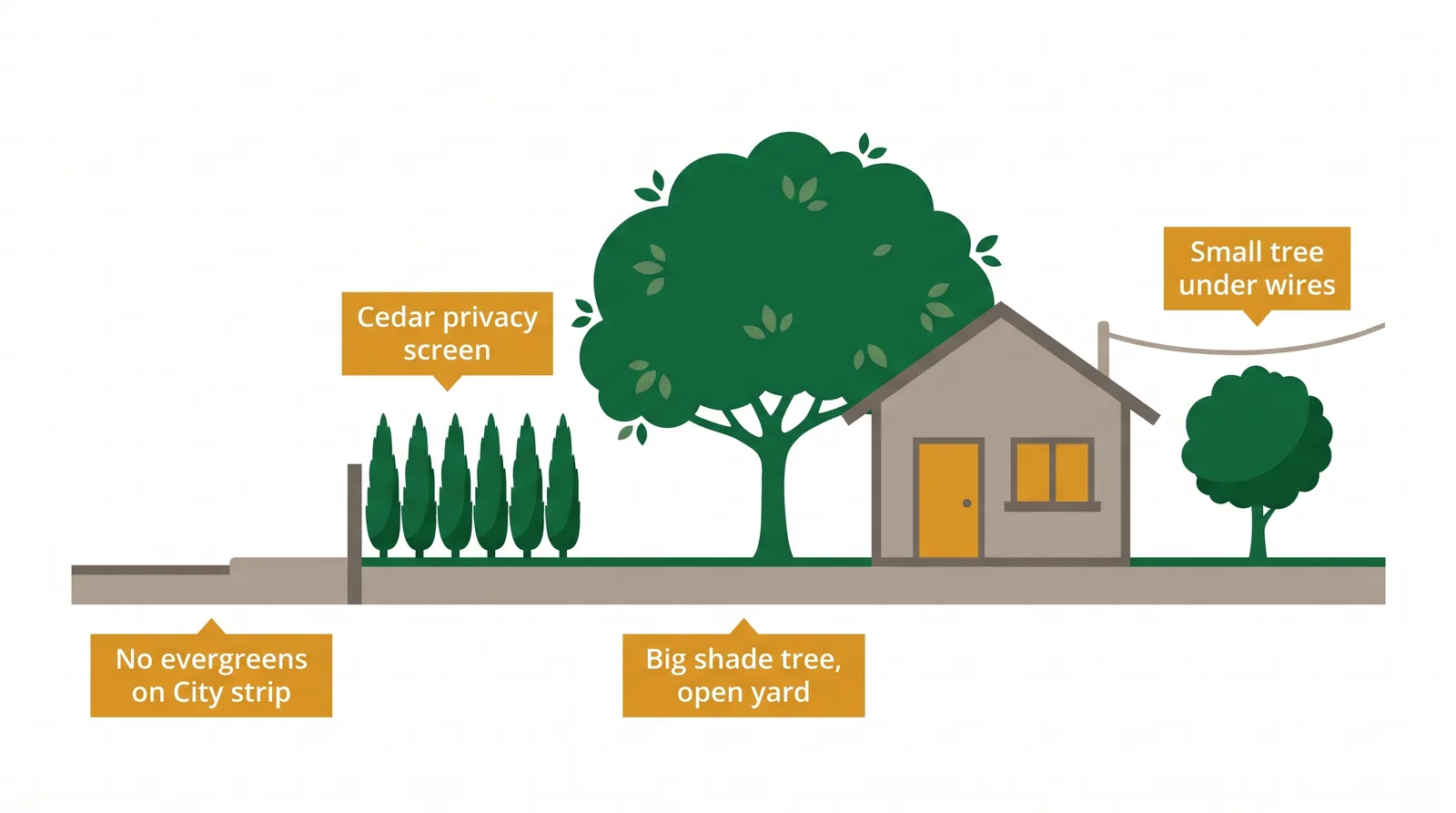 Diagram matching tree choice to location: small native tree under a hydro line, large shade tree in an open yard, cedar for a backyard privacy screen, and no evergreen on the City road allowance
