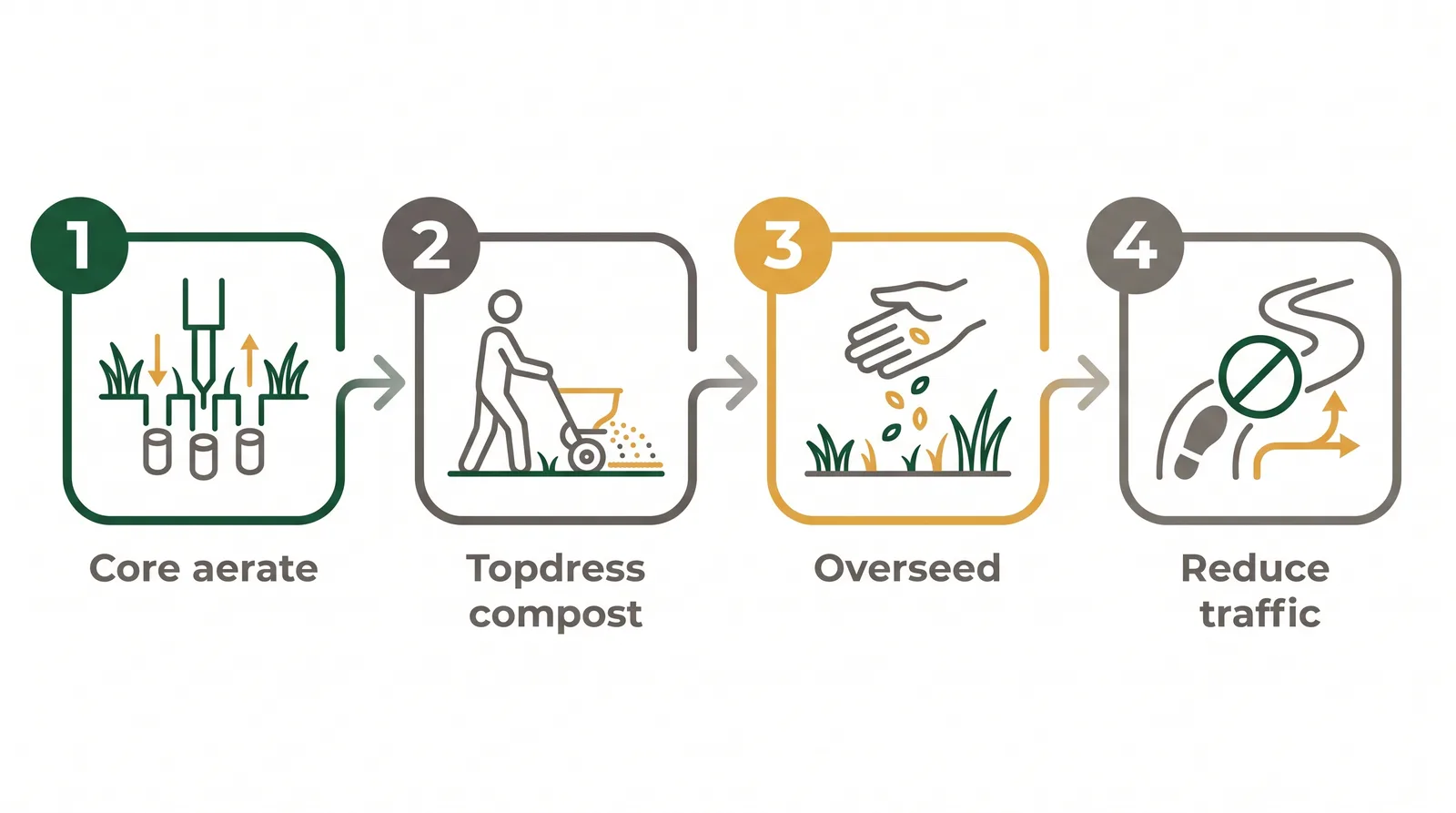 Four-step diagram to fix compacted clay soil: core aerate, topdress with compost, overseed, then reduce foot traffic
