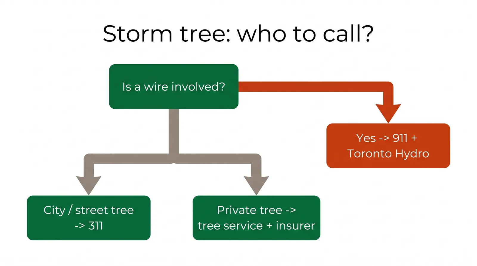 Decision diagram for a storm-damaged tree in Toronto: wire involved call 911 and Toronto Hydro, City tree call 311, private tree call a tree service and insurer