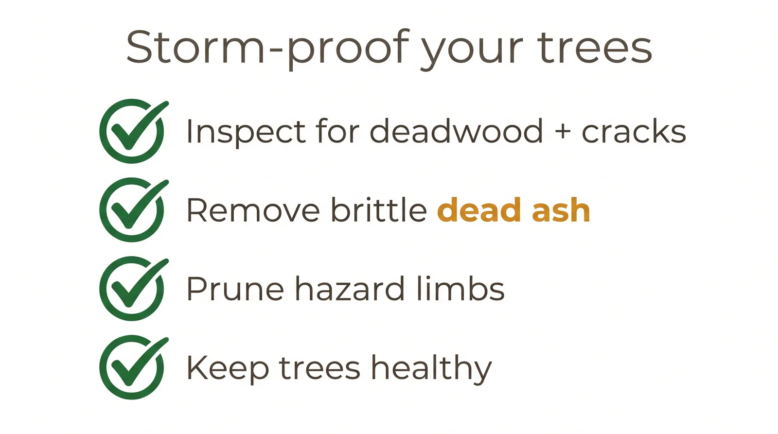 Checklist diagram of storm-proofing steps for GTA trees: inspect for deadwood, remove dead ash, prune hazards, keep trees healthy