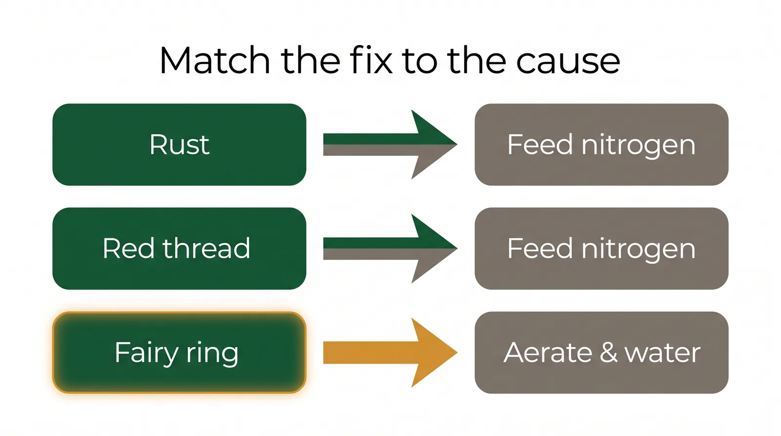 Cause-and-fix diagram for three lawn diseases showing rust and red thread fixed by nitrogen feeding and fairy ring fixed by aeration and watering