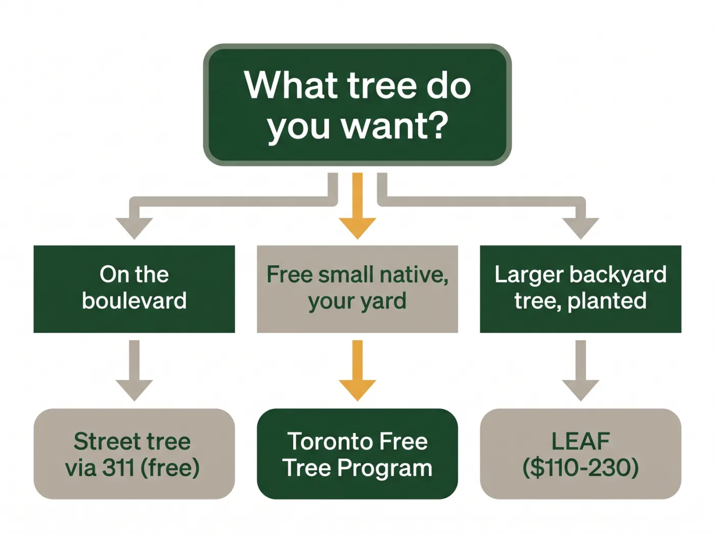 Decision diagram for choosing a Toronto tree program based on whether you want a boulevard tree, a free small native tree for your yard, or a larger backyard tree planted for you