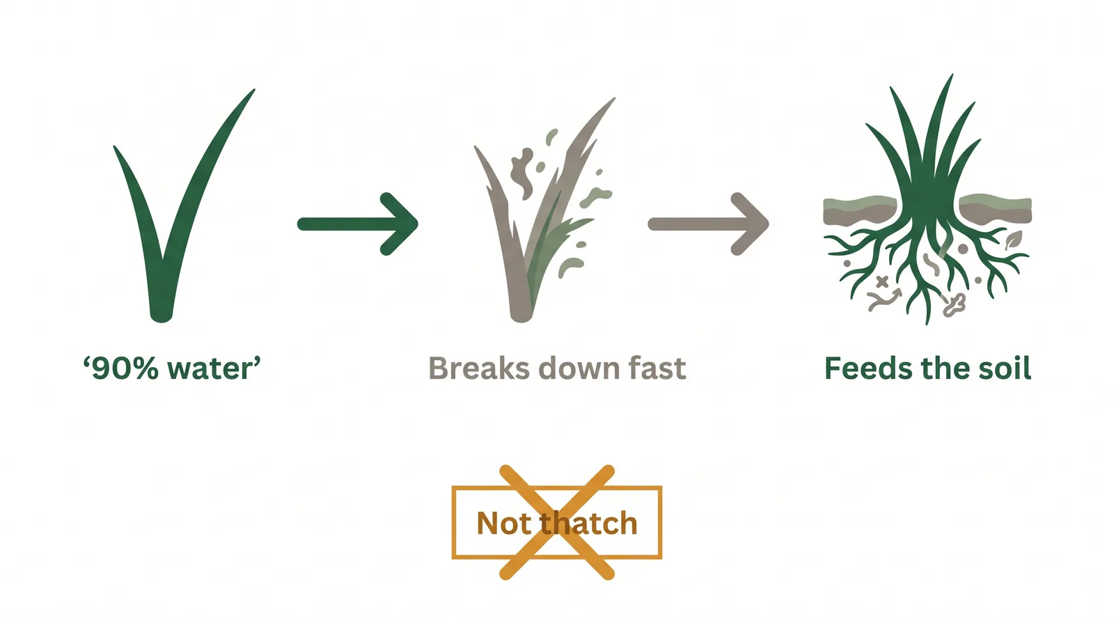 Diagram showing grass clippings are 90 percent water, break down quickly, and feed the soil rather than building thatch