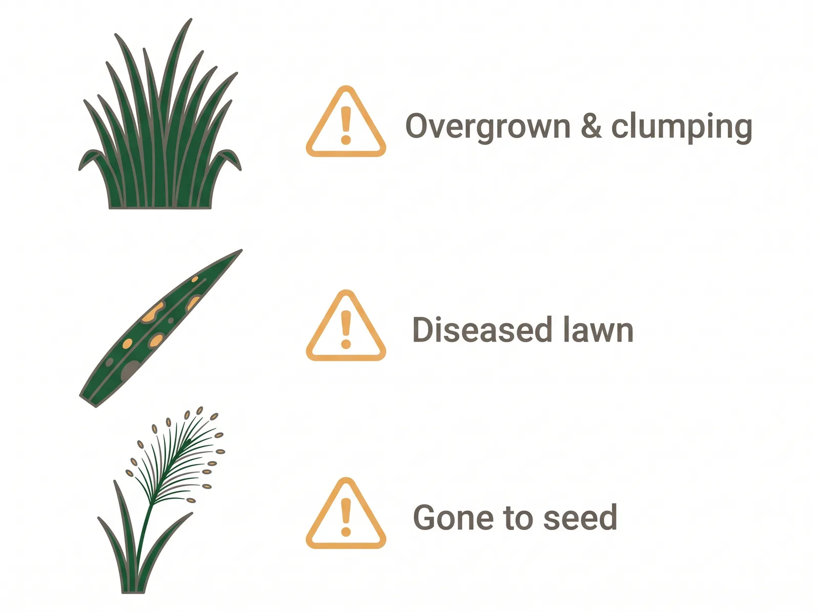 Checklist diagram of when to bag grass clippings instead of mulching: overgrown and clumping, diseased lawn, or grass gone to seed with weeds