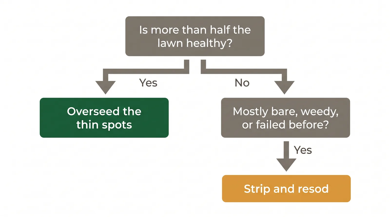 Decision diagram for a patchy lawn: overseed if more than half is healthy, resod if mostly bare, weedy, or repeatedly failed