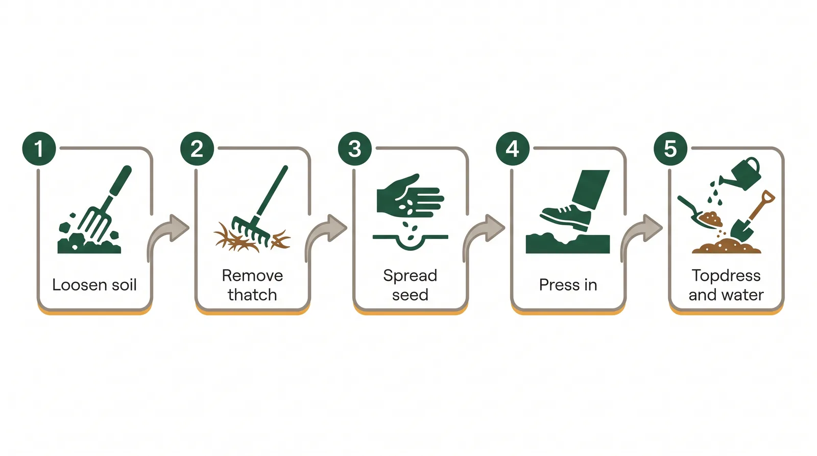 Step diagram of patching a bare lawn spot: loosen soil, remove dead thatch, spread seed, press for contact, topdress and water