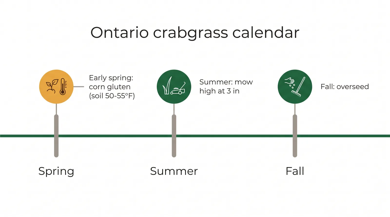 Seasonal timeline diagram for Ontario crabgrass control: corn gluten meal in early spring, mow high through summer, overseed in fall