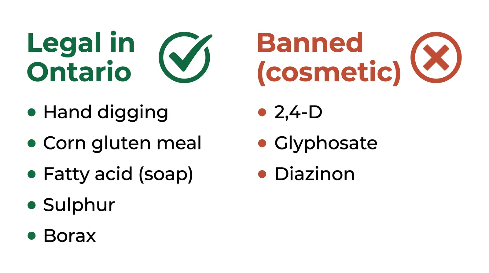 Two-column comparison of legal versus banned dandelion control in Ontario, listing corn gluten meal, fatty acid soap, sulphur, borax, hand digging as legal and 2,4-D, glyphosate, diazinon as banned