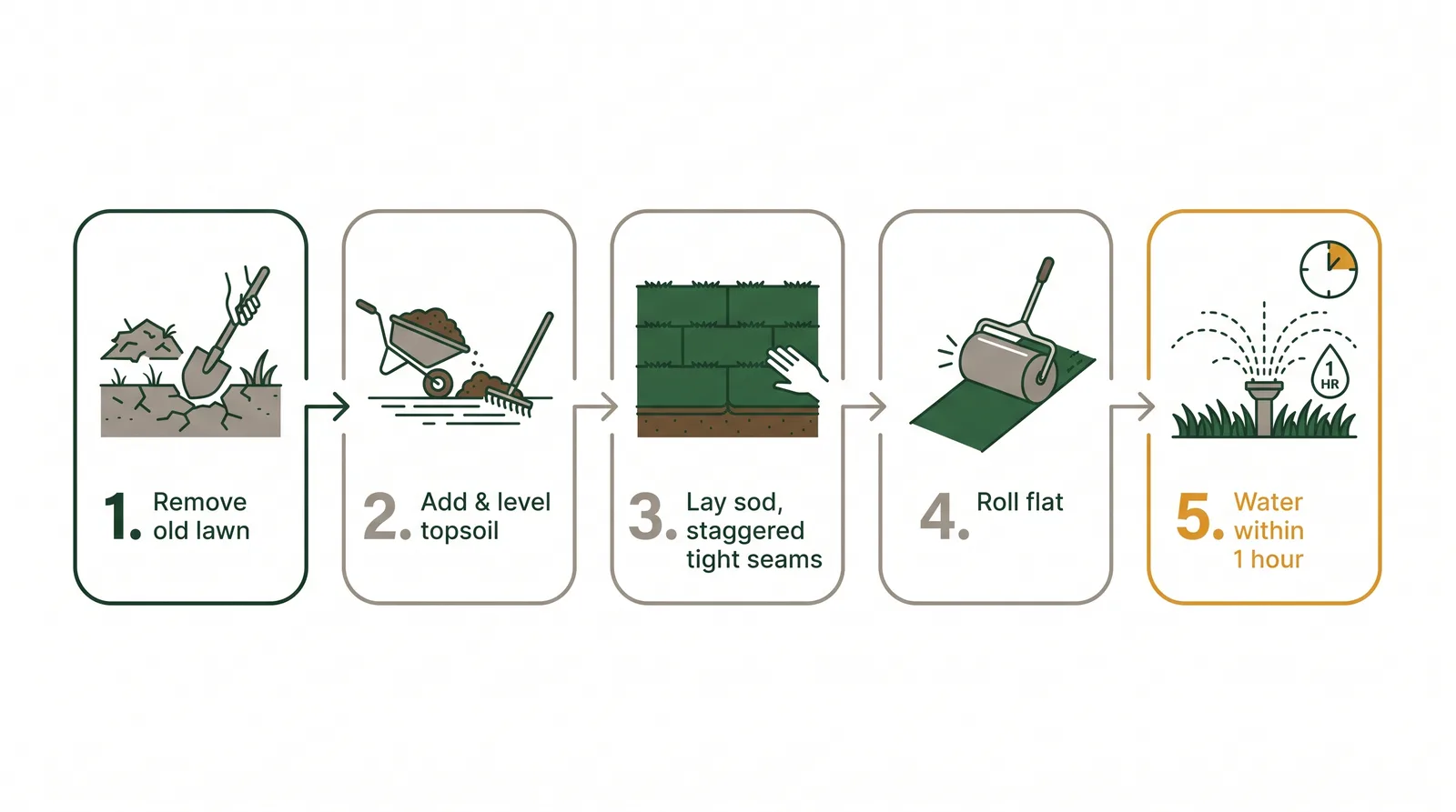 Step diagram of sod installation showing remove old lawn, add and level topsoil, lay sod in staggered rows with tight seams, roll, and water