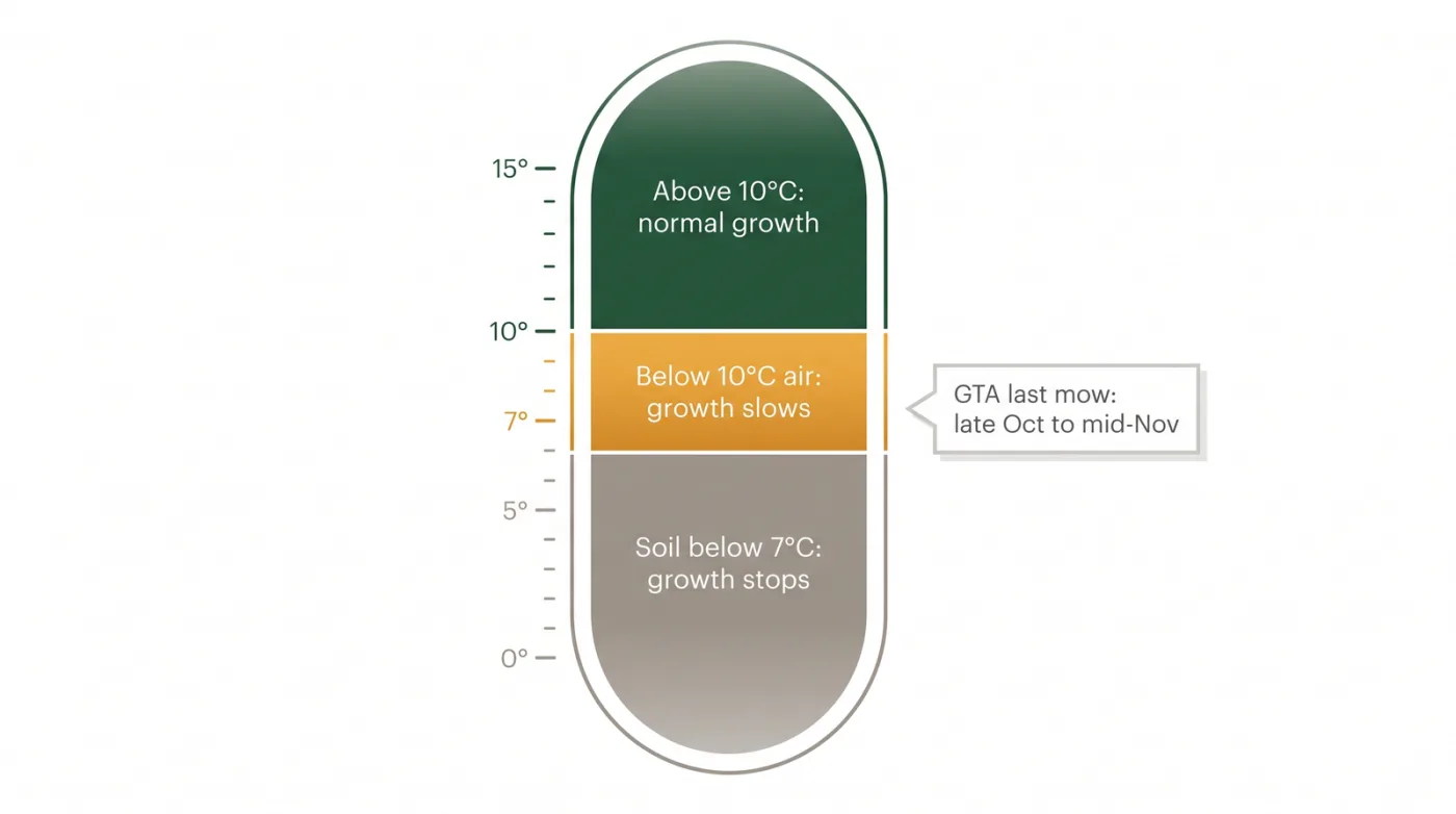 Diagram of fall lawn growth by temperature: normal growth above 10 degrees Celsius, growth slows below 10 degrees air, growth stops as soil falls below 7 degrees, with the GTA last-mow window late October to mid-November