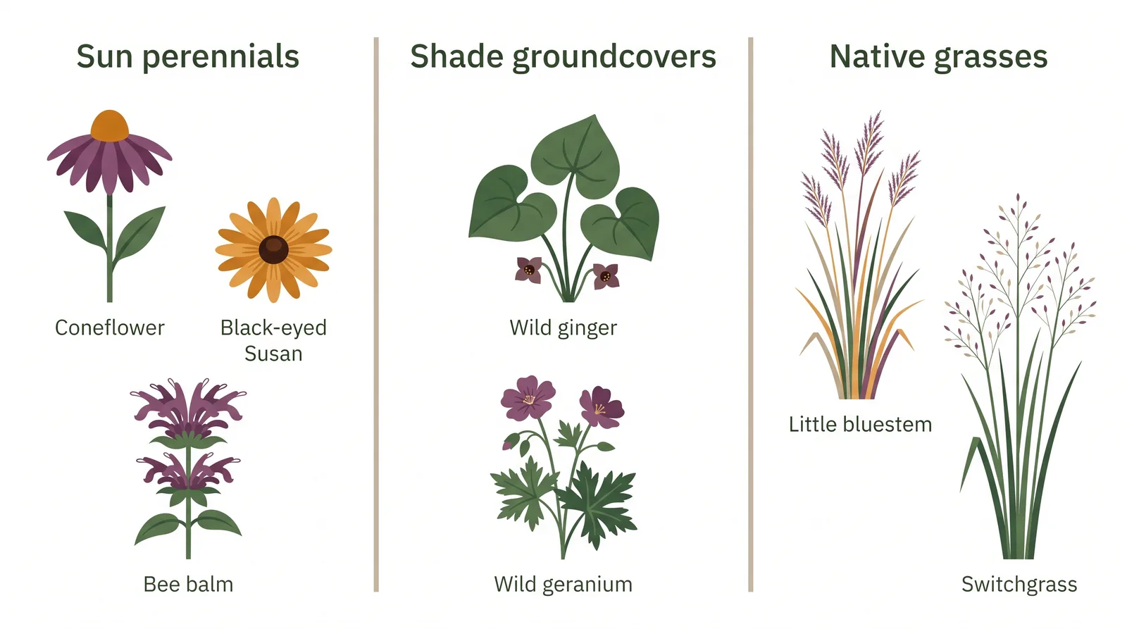 Diagram of a Toronto native plant palette grouped by sun perennials, shade groundcovers, and native grasses