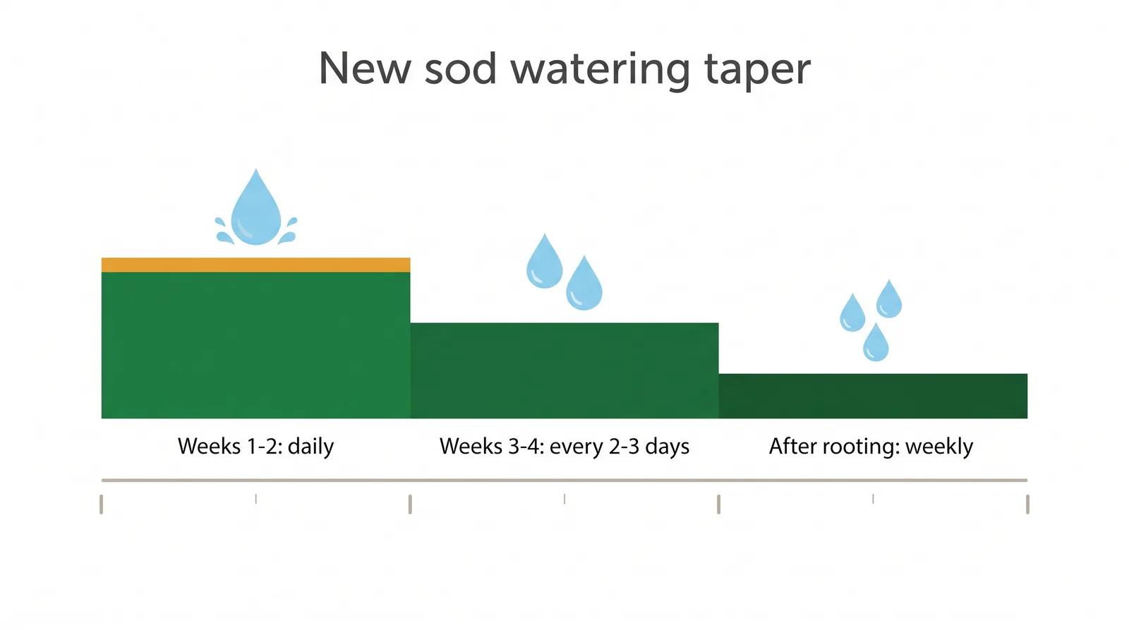 Diagram of a tapering sod watering schedule: daily for two weeks, every two to three days in week three and four, then weekly