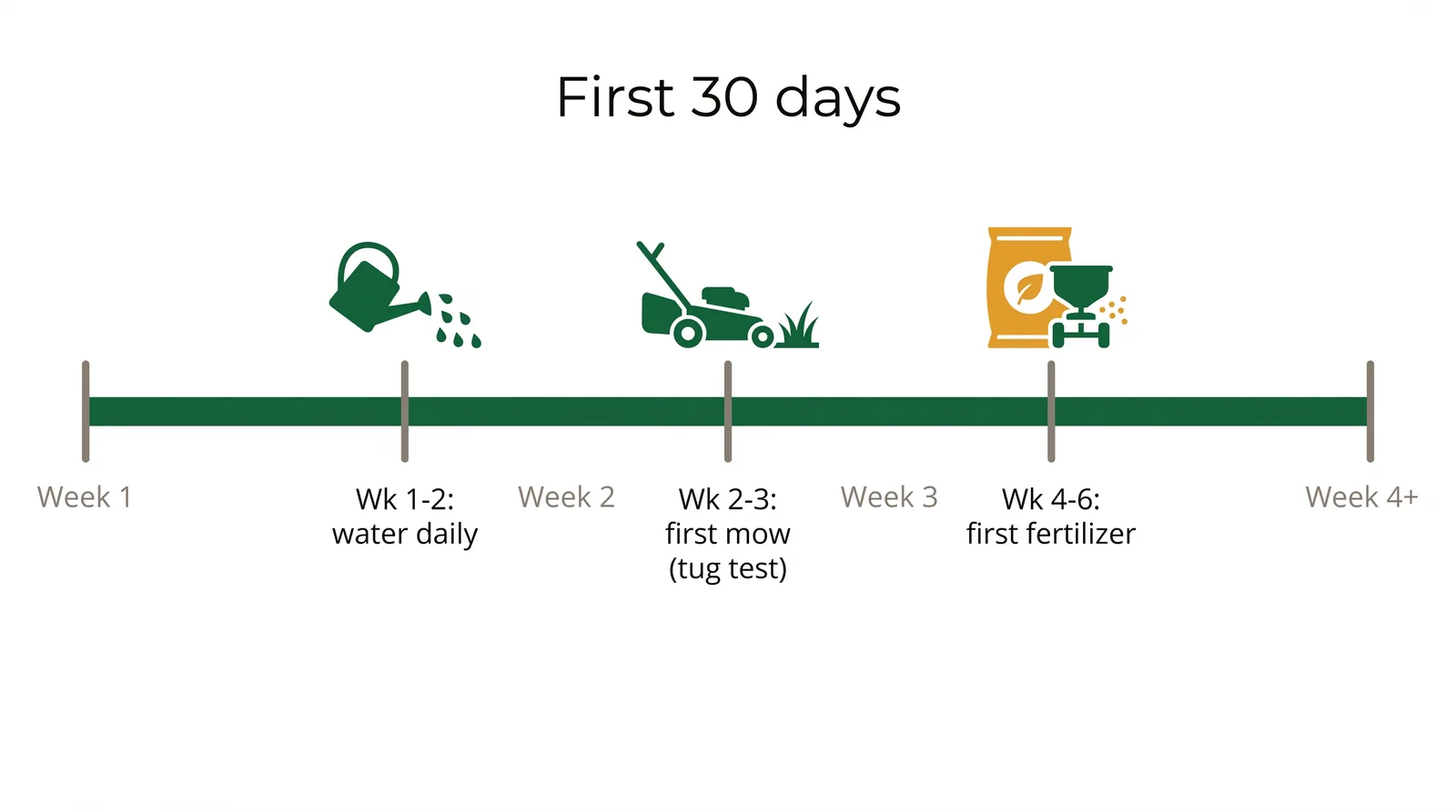 Timeline diagram of the first 30 days of new sod care showing watering, first mow around week three, and fertilizing at week four to six