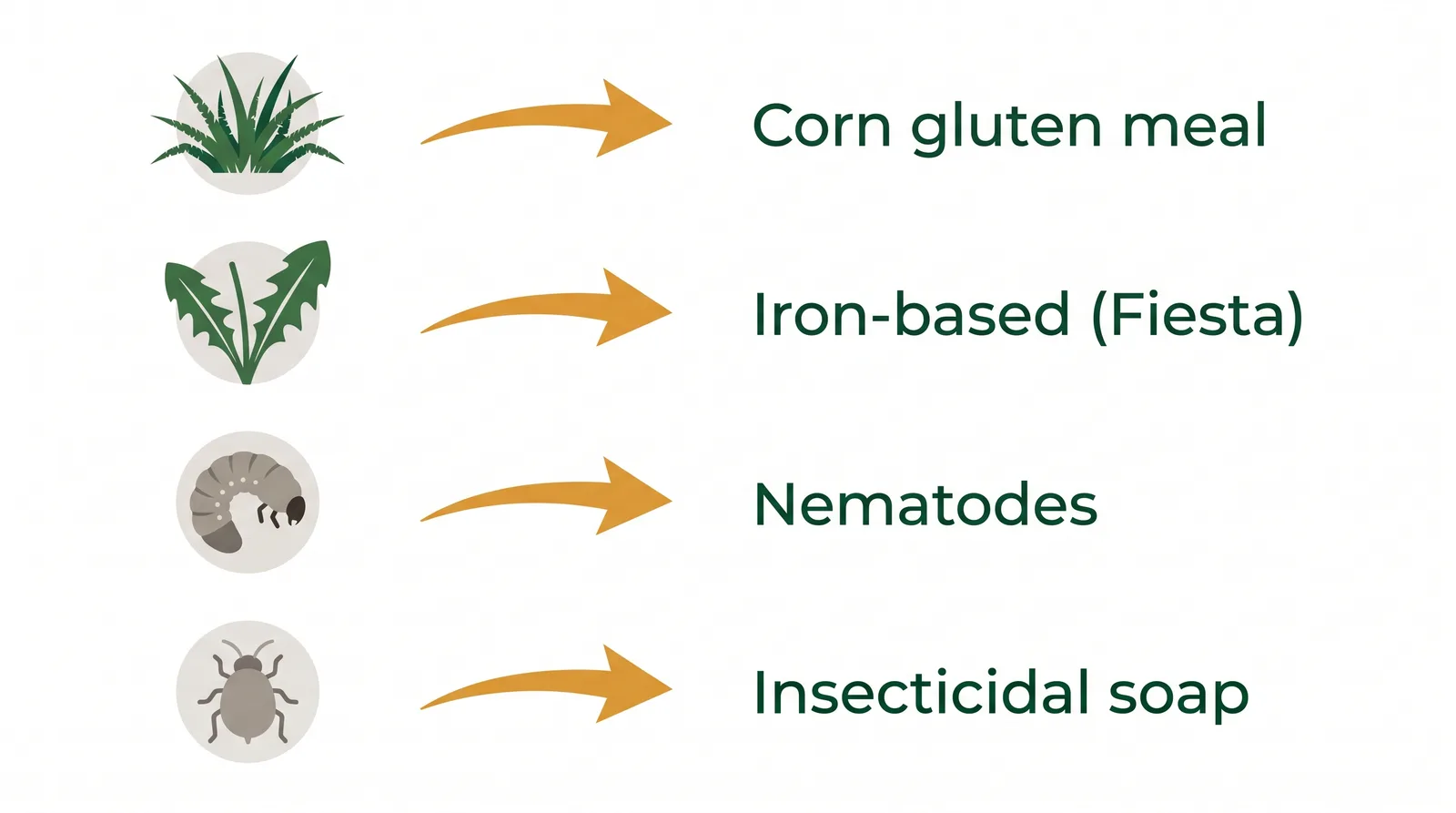 Diagram matching common lawn problems to the legal Ontario control for each: crabgrass to corn gluten, broadleaf weeds to iron-based herbicide, grubs to nematodes, soft-bodied insects to insecticidal soap