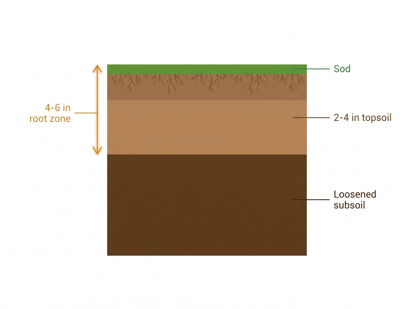Cross-section diagram of a sod root zone showing loosened subsoil, 2 to 4 inches of added topsoil, and the sod layer on top