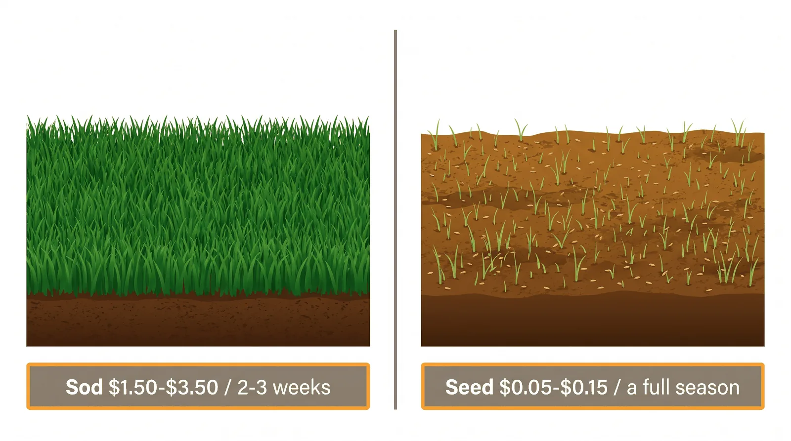 Side-by-side comparison of sod versus seed for a Toronto lawn showing cost per square foot and time to usable lawn