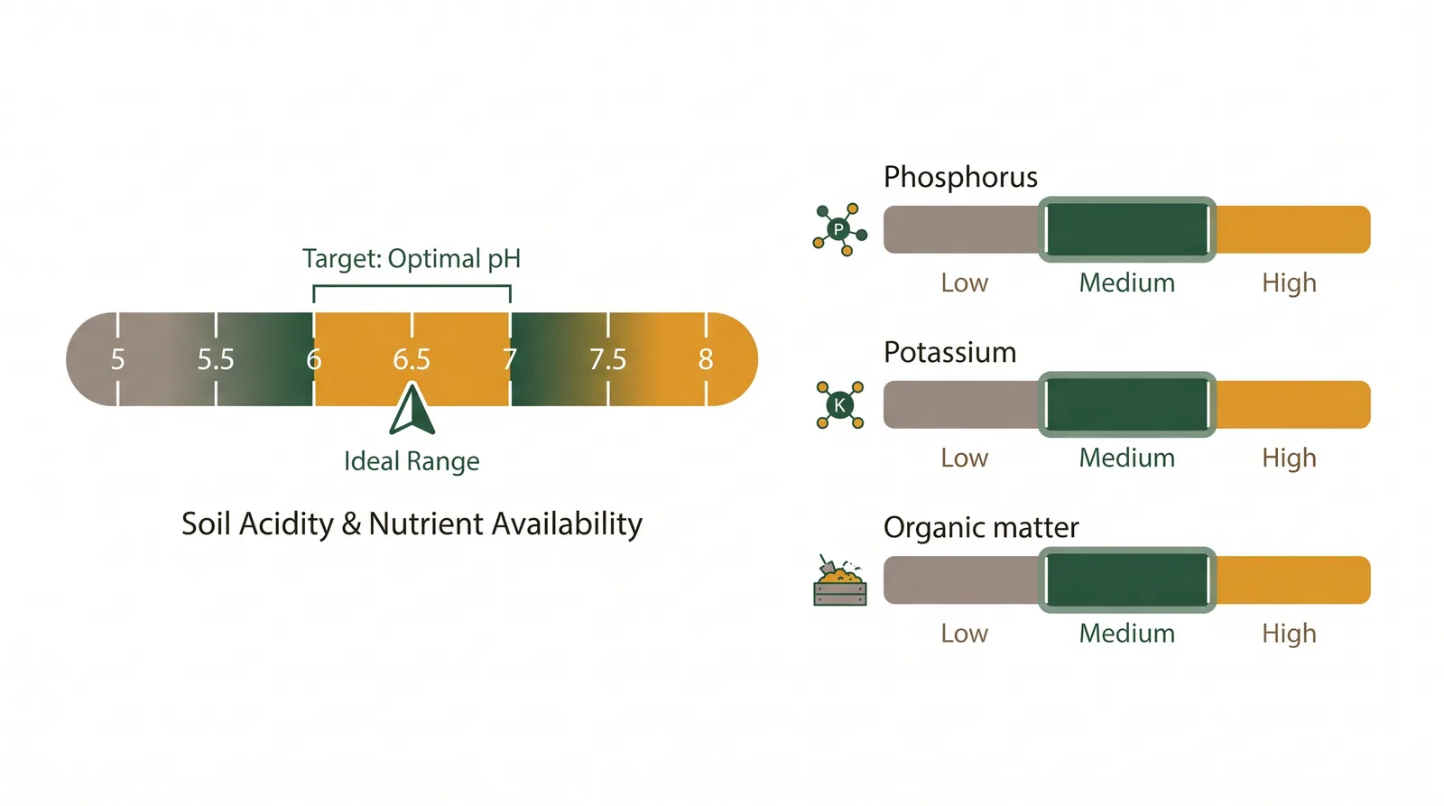 Diagram showing how to read a lawn soil test: pH target 6.0 to 7.0, plus phosphorus, potassium and organic matter rated low, medium or high