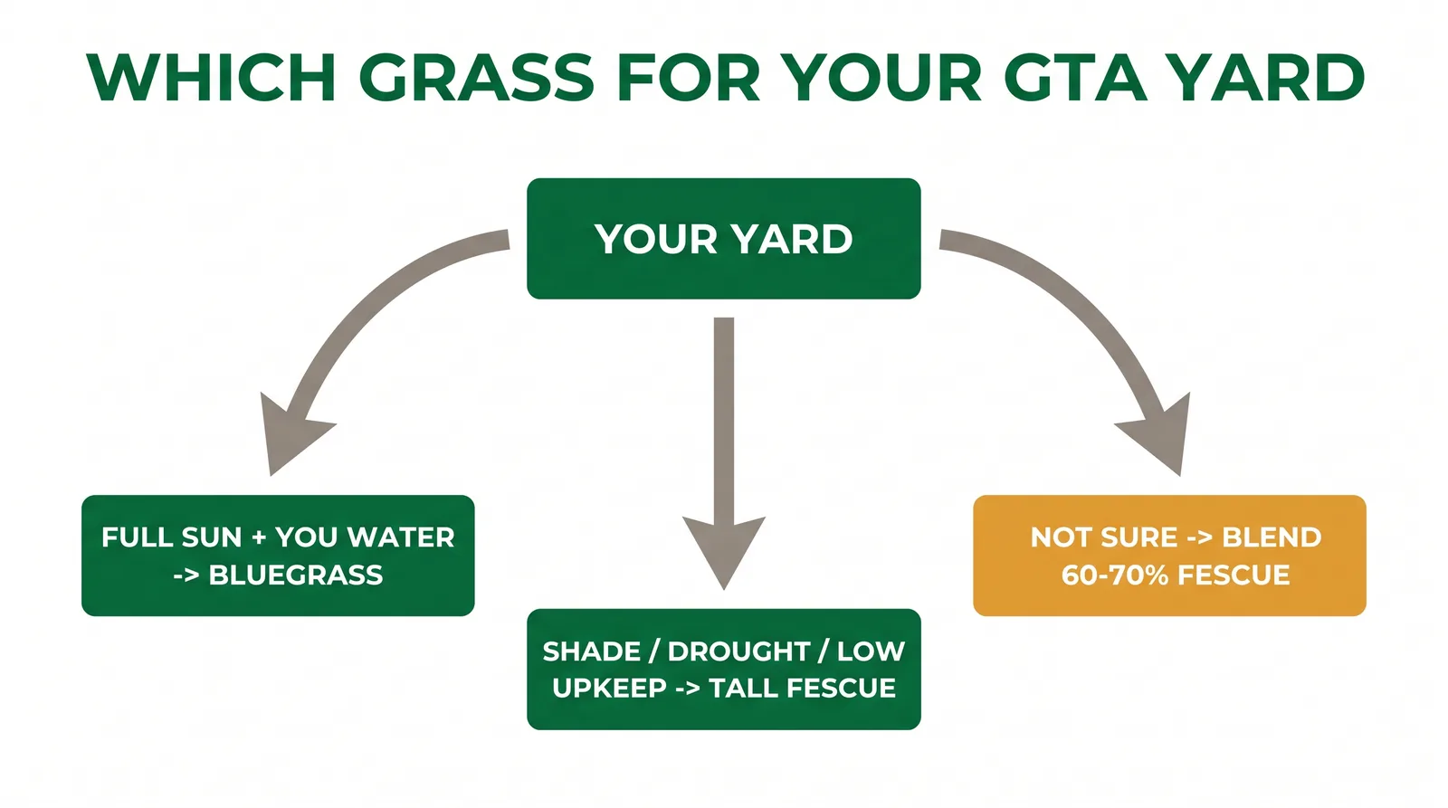 Decision diagram for choosing lawn grass in Ontario based on sun, shade, drought, and maintenance