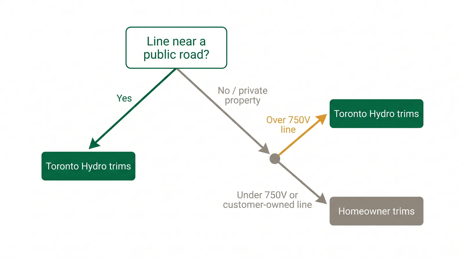 Decision diagram showing who trims a tree near a Toronto powerline based on whether the line is on a public road or private property and whether it is above or below 750 volts
