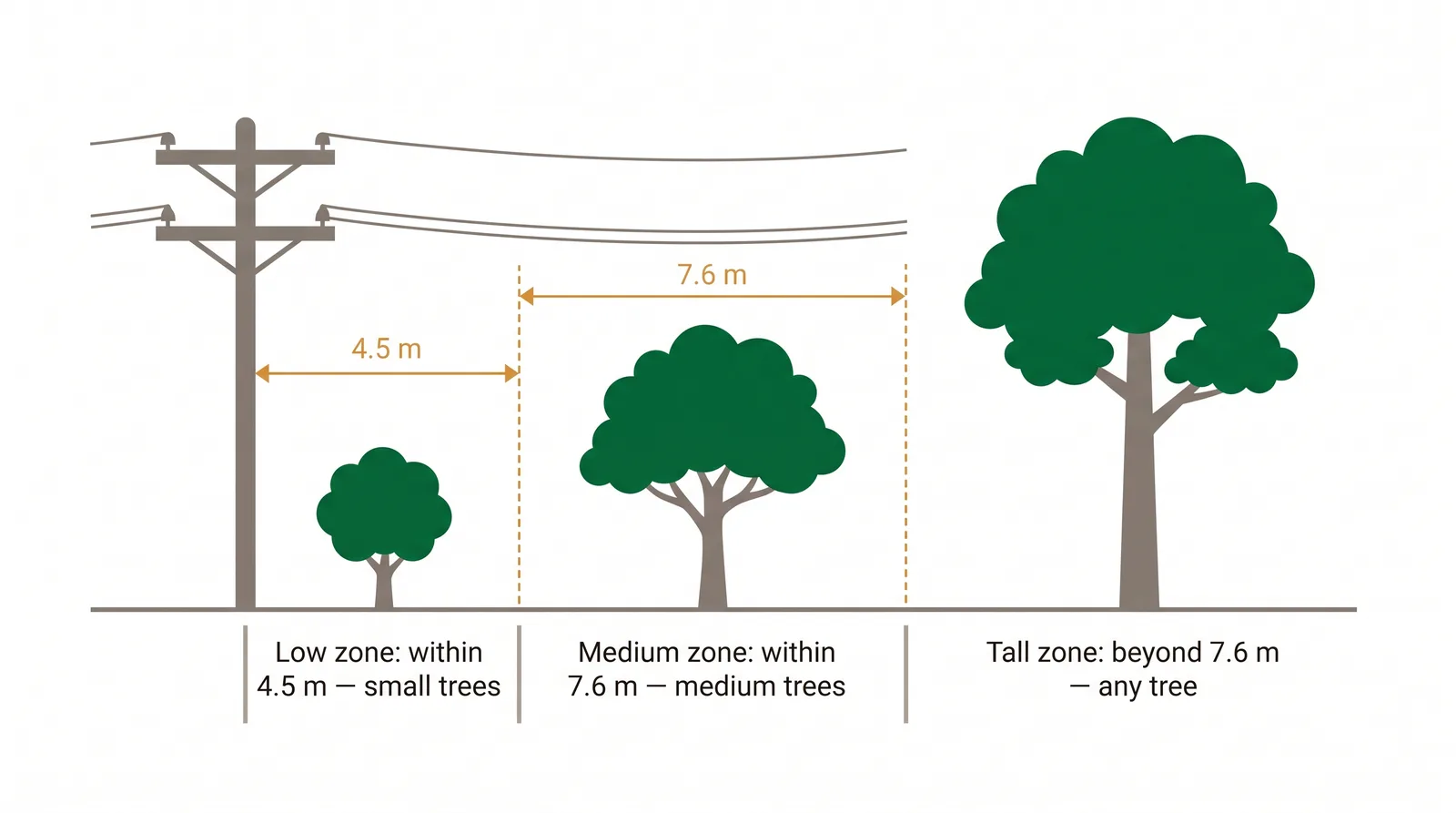 Diagram of three tree-planting zones under a Toronto Hydro powerline: low zone within 4.5 metres for small trees, medium zone within 7.6 metres for medium trees, and tall zone beyond 7.6 metres for any tree