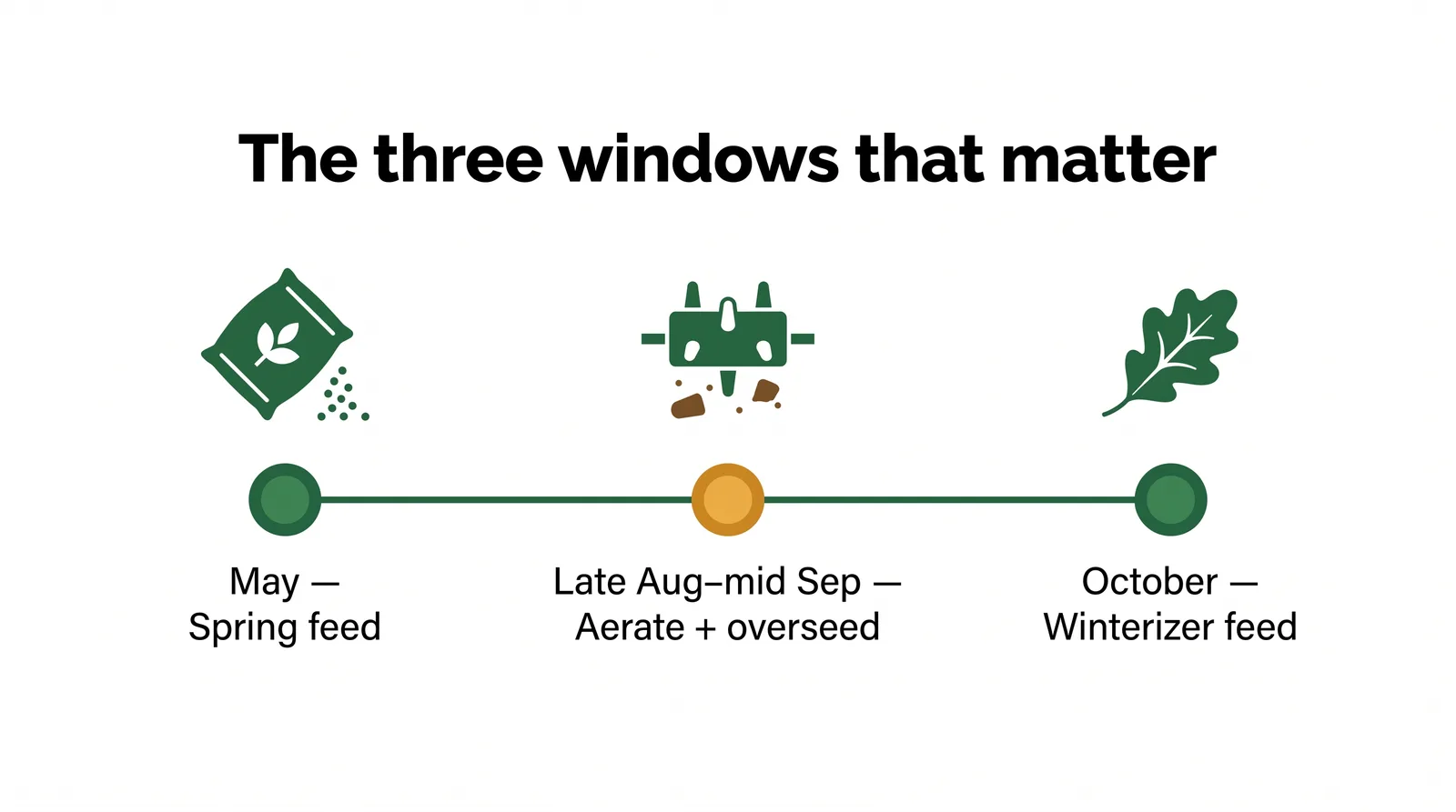 Diagram of the three key Toronto lawn care windows: feed in May, core aerate and overseed late August to mid-September, and winterizer feed in October