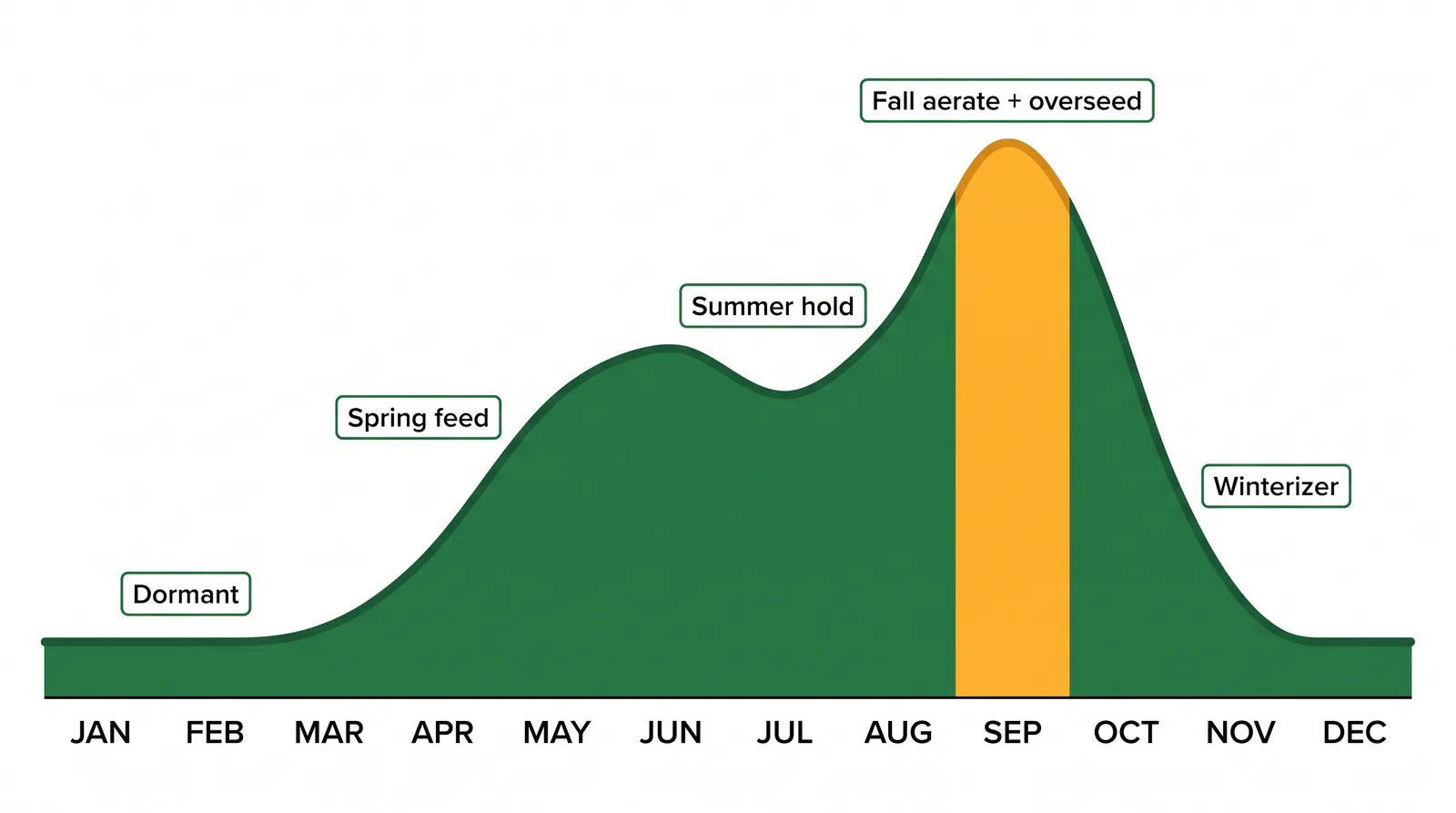 Timeline chart of the Toronto lawn care year showing dormant winter, spring cleanup and feed, summer holding pattern, and the fall aeration overseeding and winterizer peak